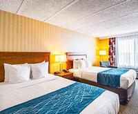 Comfort Inn Falls Church Room Photos