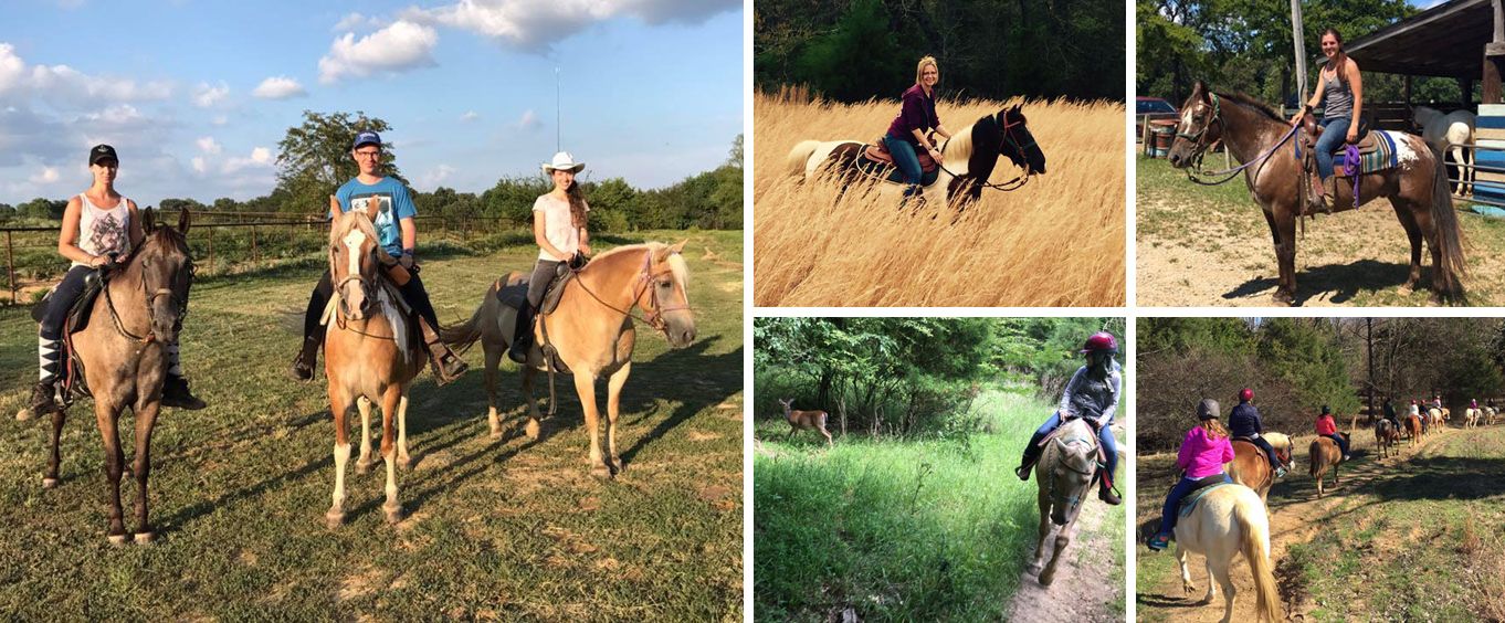 Amazing Experiences with Shelby Farms Stable Rides