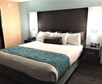 Photo of Best Western Galleria Inn & Suites Bartlett Room