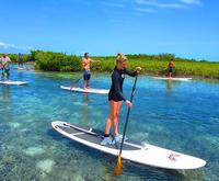 Group on the Sup Paddleboard Lesson and Tour Port Canaveral and Cocoa Beach