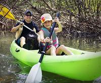 Fully Guided Kayaking Backwater Manatee and Dolphin Tour
