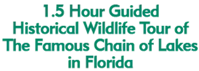 1.5 Hour Guided Historical Wildlife Tour of The Famous Chain of Lakes in Florida Schedule