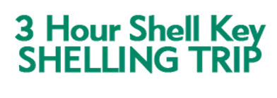 3 Hour Shell Key Shelling Trip