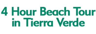 4 Hour Beach Tour in Tierra Verde