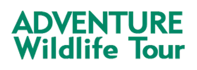 Adventure Wildlife Tour Schedule