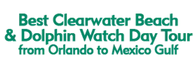 Best Clearwater Beach & Dolphin Watch Day Tour from Orlando to Mexico Gulf 2024 Schedule