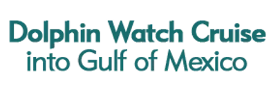 Dolphin Watch Cruise into Gulf of Mexico Schedule