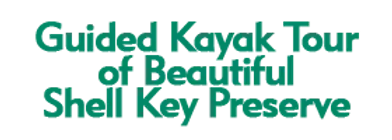 Guided Kayak Tour of Beautiful Shell Key Preserve