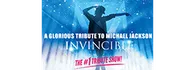 Invincible A Glorious Tribute to Michael Jackson 