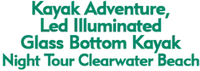 Kayak Adventure, Led Illuminated Glass Bottom Kayak Night Tour Clearwater Beach 2024 Schedule