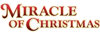 Miracle of Christmas at Sight & Sound Theatres® Branson