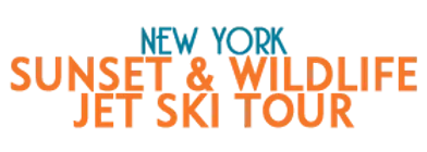 New York Sunset and Wildlife Jet Ski Tour