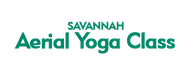 Savannah Aerial Yoga Class