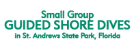 Small Group Guided Shore Dives in St. Andrews State Park, Florida 2024 Schedule
