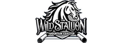 Wild Stallion Alpine Mountain Coaster Pigeon Forge Coaster