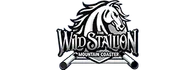 Wild Stallion Alpine Mountain Coaster Pigeon Forge Coaster