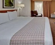 La Quinta Inn & Suites Ft. Lauderdale Cypress Creek Room Photos