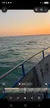 A boat is sailing on the ocean at sunset, with dolphins swimming nearby.