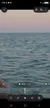 A dolphin is swimming in the ocean under a pastel-colored sky.