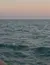 A group of dolphins is swimming in the ocean at sunset.