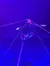 A performer balances on a pole suspended by ropes in a brightly lit circus setting.