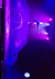 A performer in a blue costume is balancing upside down on a thin apparatus, illuminated by purple stage lights.