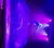 A performer in a contorted pose balances and aims a bow with their feet under dramatic purple stage lighting.