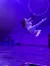 A performer in a white outfit is gracefully suspended in mid-air, holding onto a hoop, under dramatic purple stage lighting.