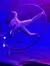 A performer in white clothes is spinning inside a large hoop on a dimly lit stage with a blue and purple backdrop.