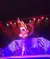 A performer is balancing on a plank atop a tall, intricate metal structure, under colorful stage lights.