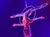 A performer is gracefully suspended upside down inside a hoop during an aerial routine, illuminated by vibrant stage lighting.