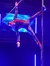 A performer is suspended mid-air, gripping a vertical pole and extending his limbs in a dramatic pose under blue and purple stage lighting.