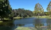 A serene pond surrounded by lush trees under a clear blue sky.