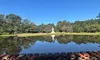 A serene pond surrounded by trees with a statue reflected in the water under a clear blue sky.