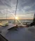 A shark lies on the deck of a boat with the sun setting over the water in the background.