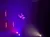 Aerial performer suspended in mid-air during a vibrant, purple-lit stage show.