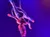 An aerial performer executes a graceful pose on a suspended hoop under vibrant blue and purple stage lighting.