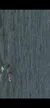 An aerial view of ocean water shows a few dolphins swimming on the surface.
