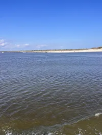 Beach View