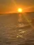 Beautiful Sunset