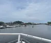 Pod of Leaping Dolphins on  Myrtle Beach Dolphin Sightseeing Cruises