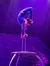Contortionist