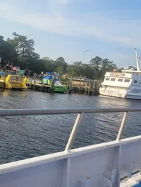 Cruise