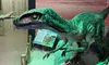 Dino Park Velociraptor