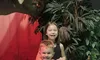 Dino museum 