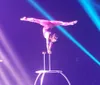It was a splendid show Loved everything about itMy husband and were there with our kids and grandkids for our annual family vacation. We all enjoyed it very muchXYZTrish Harleston - Durham, NC