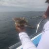 Fish Caught on Trip