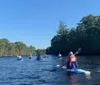 This tour was great! The river was amazing and we saw some really cool wildlife. The time flew by, I felt like I could've done it for another hour. I definitely want to take more kayak tours in the future.XYZLori Rouhana - Conshohocken, Pa