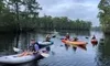 Kayaks with Guided Murrells Inlet Backwater Myrtle Beach Kayak Tour