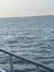 Myrtle Beach Dolphins